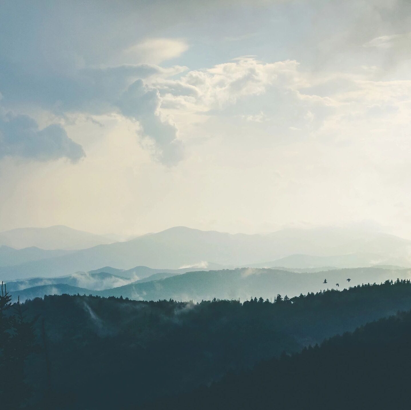 Lic. Emilio González de Castilla